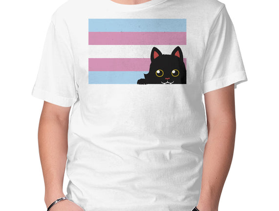 Peeking Cat Trans Flag