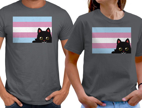 Peeking Cat Trans Flag