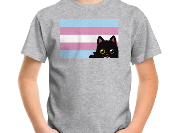 Peeking Cat Trans Flag