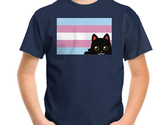 Peeking Cat Trans Flag