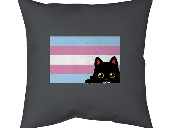 Peeking Cat Trans Flag