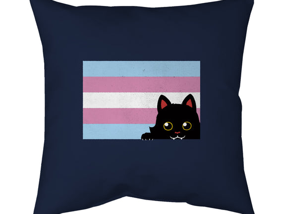 Peeking Cat Trans Flag