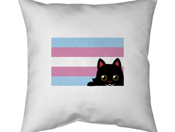 Peeking Cat Trans Flag