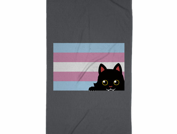 Peeking Cat Trans Flag