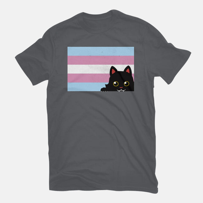 Peeking Cat Trans Flag-Womens-Fitted-Tee-tobefonseca