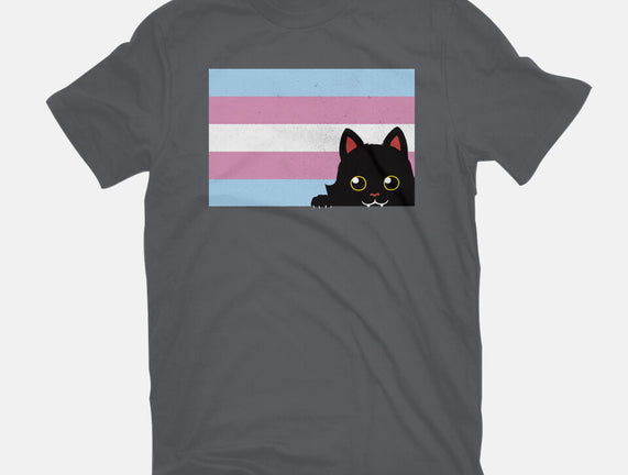 Peeking Cat Trans Flag