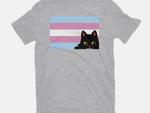 Peeking Cat Trans Flag