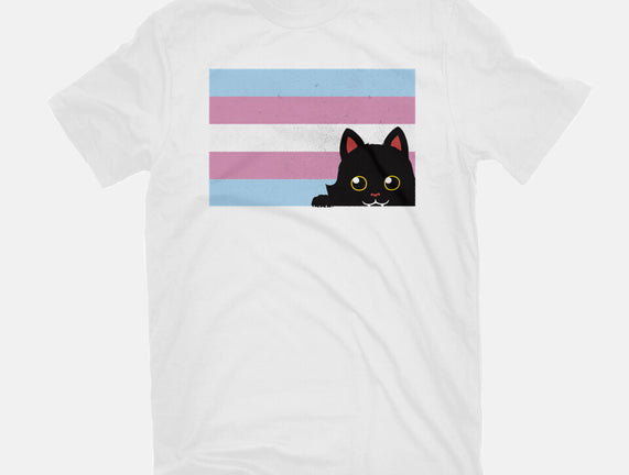 Peeking Cat Trans Flag