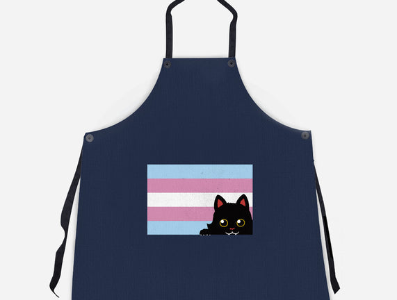 Peeking Cat Trans Flag