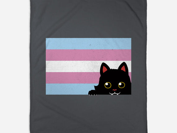 Peeking Cat Trans Flag