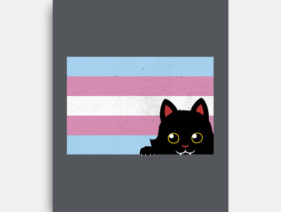 Peeking Cat Trans Flag