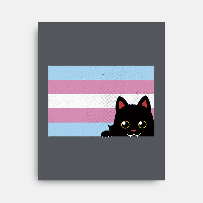 Peeking Cat Trans Flag-None-Stretched-Canvas-tobefonseca