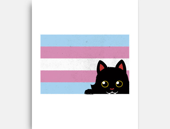 Peeking Cat Trans Flag