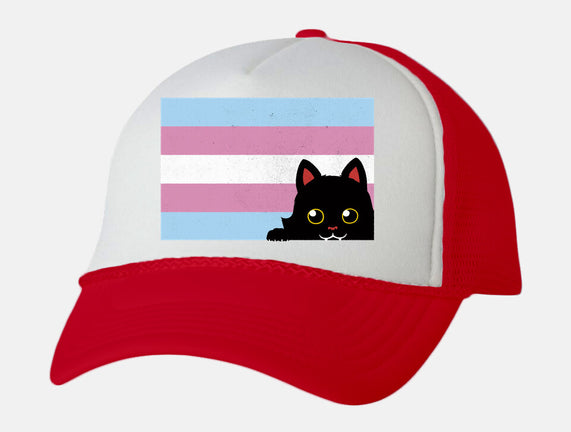 Peeking Cat Trans Flag