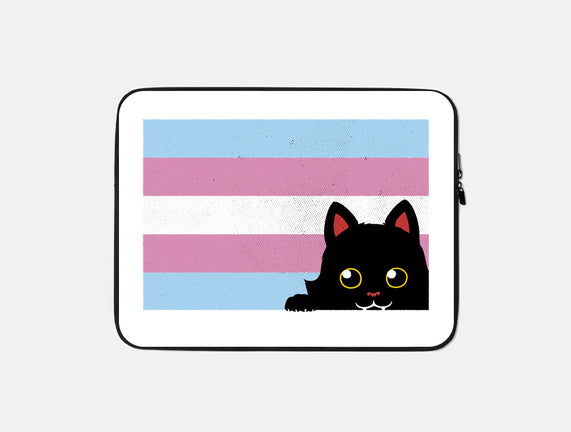 Peeking Cat Trans Flag