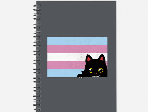 Peeking Cat Trans Flag