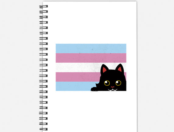 Peeking Cat Trans Flag