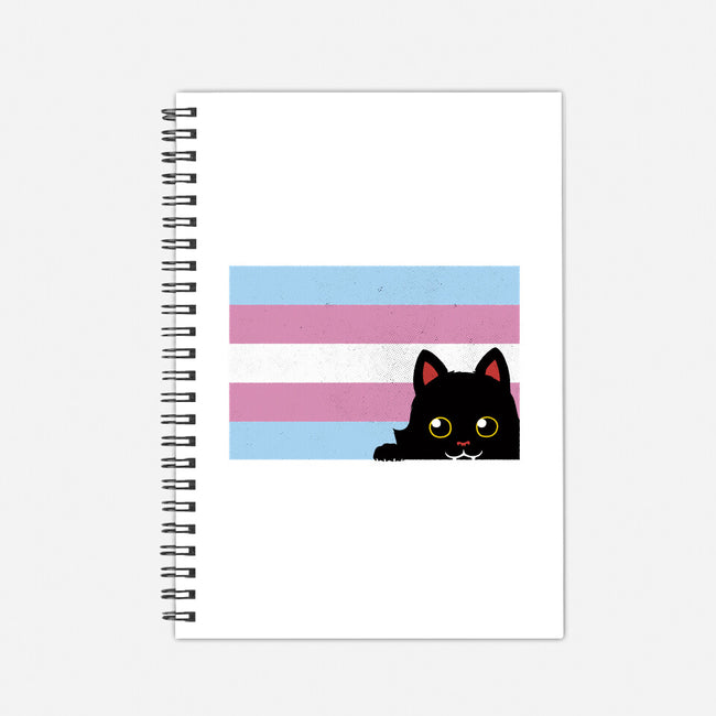 Peeking Cat Trans Flag-None-Dot Grid-Notebook-tobefonseca
