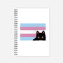 Peeking Cat Trans Flag-None-Dot Grid-Notebook-tobefonseca
