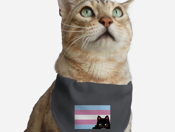 Peeking Cat Trans Flag