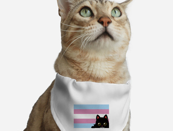 Peeking Cat Trans Flag