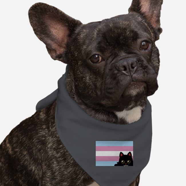 Peeking Cat Trans Flag-Dog-Bandana-Pet Collar-tobefonseca