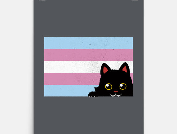 Peeking Cat Trans Flag