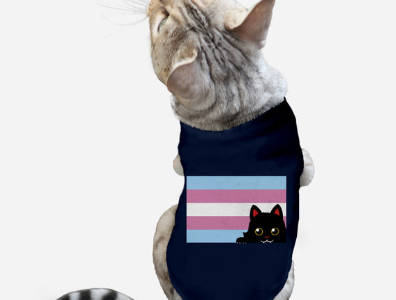 Peeking Cat Trans Flag