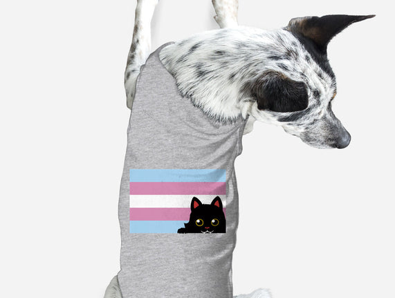 Peeking Cat Trans Flag