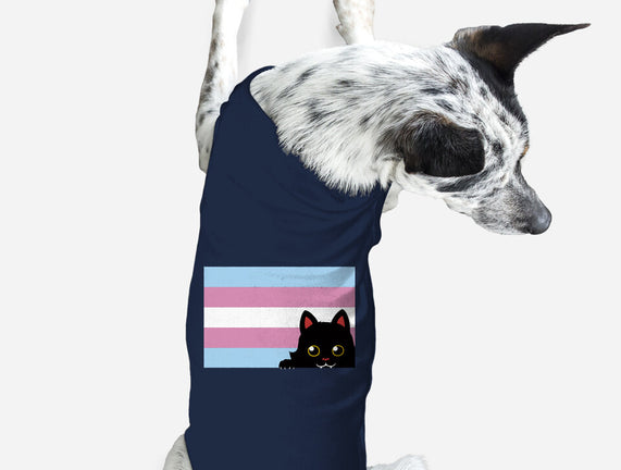 Peeking Cat Trans Flag