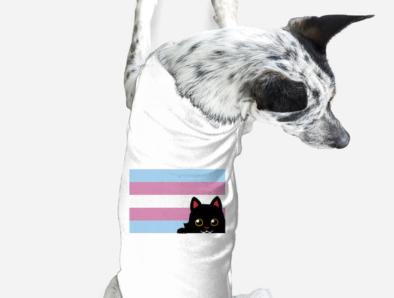 Peeking Cat Trans Flag