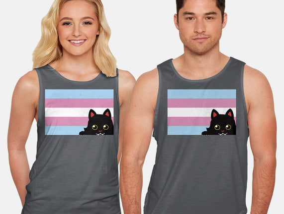 Peeking Cat Trans Flag