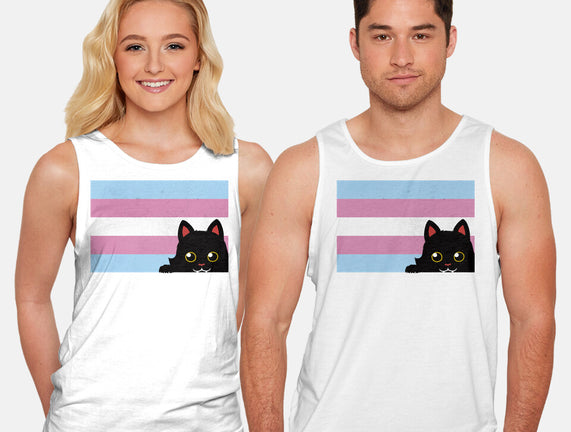 Peeking Cat Trans Flag