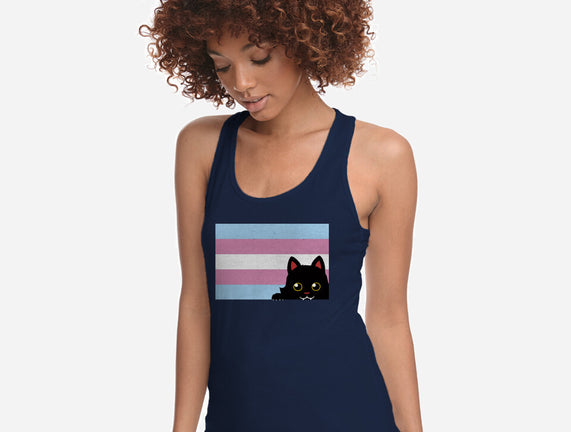 Peeking Cat Trans Flag