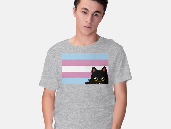 Peeking Cat Trans Flag