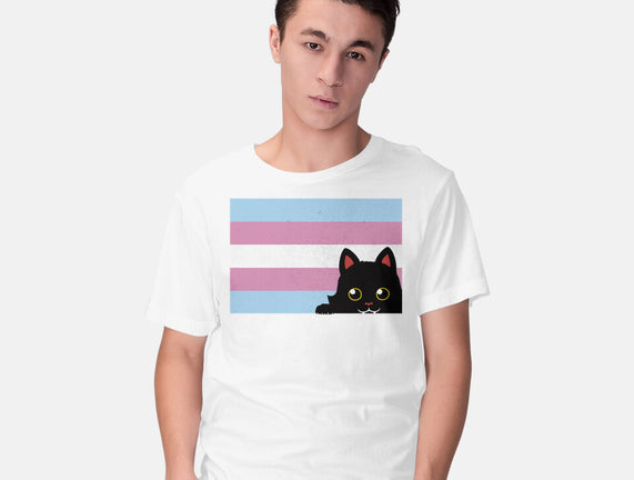 Peeking Cat Trans Flag