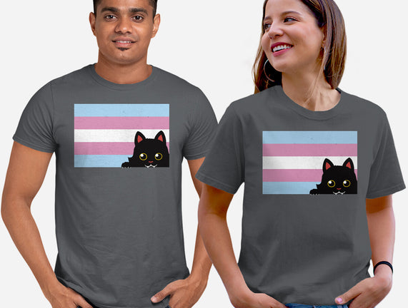 Peeking Cat Trans Flag