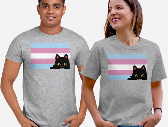 Peeking Cat Trans Flag