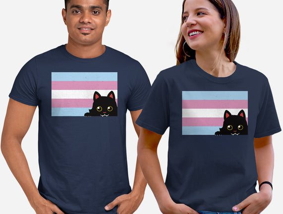 Peeking Cat Trans Flag