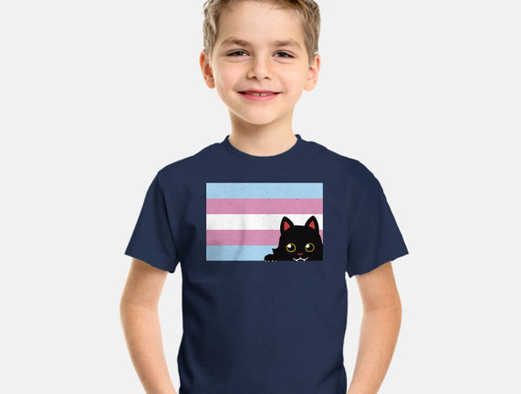 Peeking Cat Trans Flag