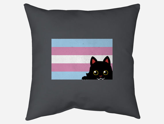 Peeking Cat Trans Flag