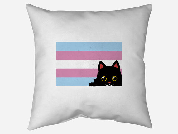 Peeking Cat Trans Flag