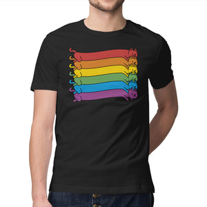 Rainbow Cats Pride Flag