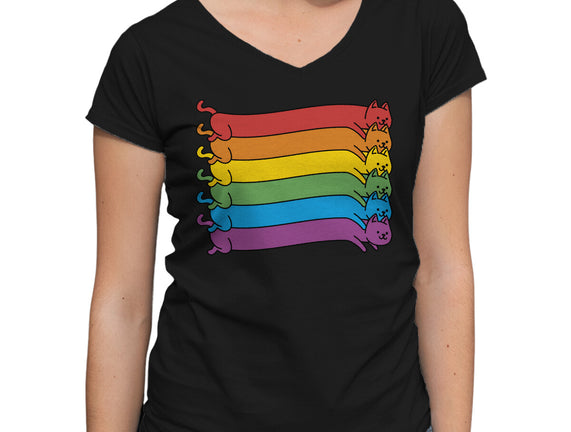 Rainbow Cats Pride Flag