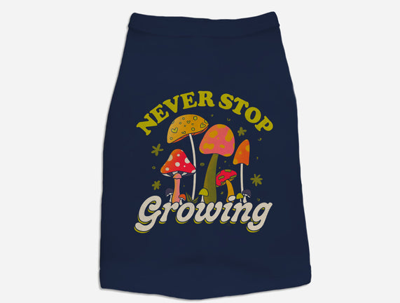 Never Stop Growing