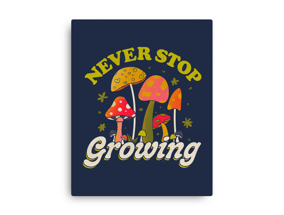 Never Stop Growing