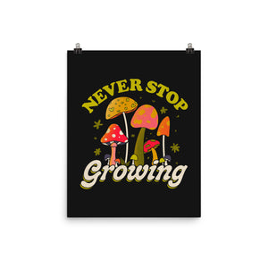 Never Stop Growing