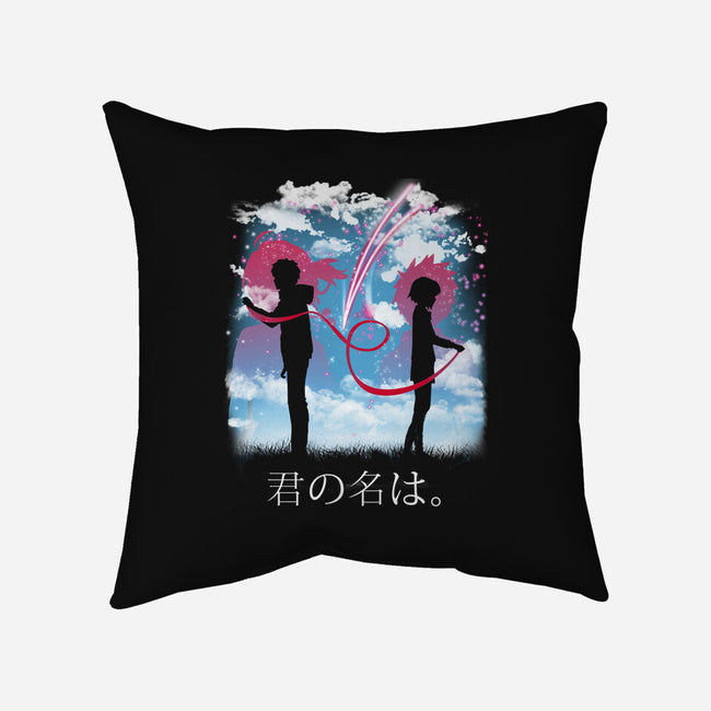 Your Name-none removable cover w insert throw pillow-pescapin