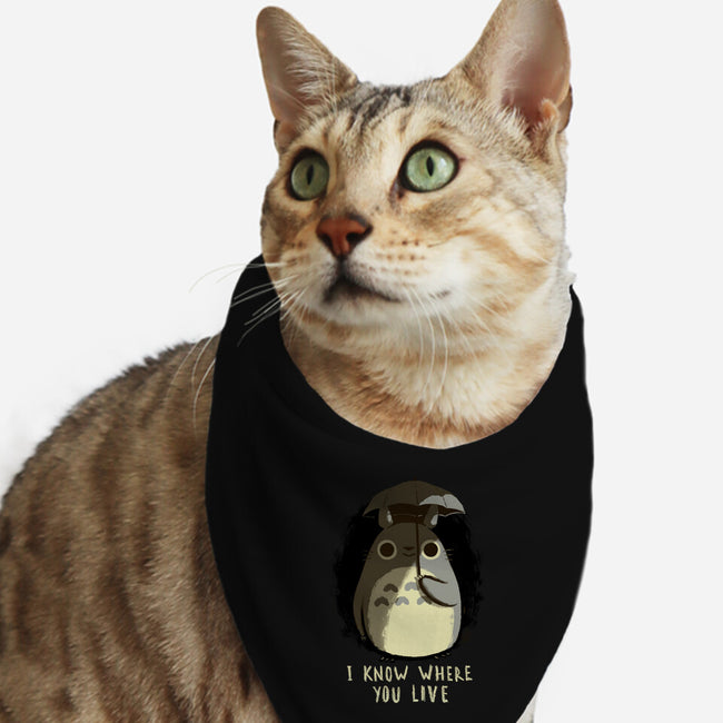 Your Neighbor-cat bandana pet collar-BlancaVidal