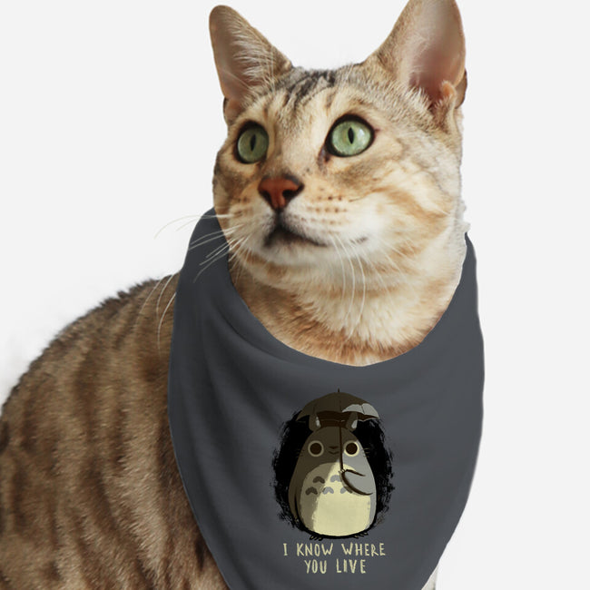 Your Neighbor-cat bandana pet collar-BlancaVidal